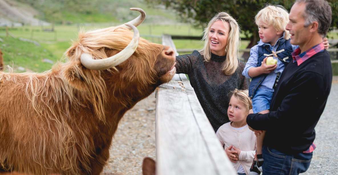 Queenstown: TSS Earnslaw Cruise and Walter Peak Farm Tour - Customer Reviews