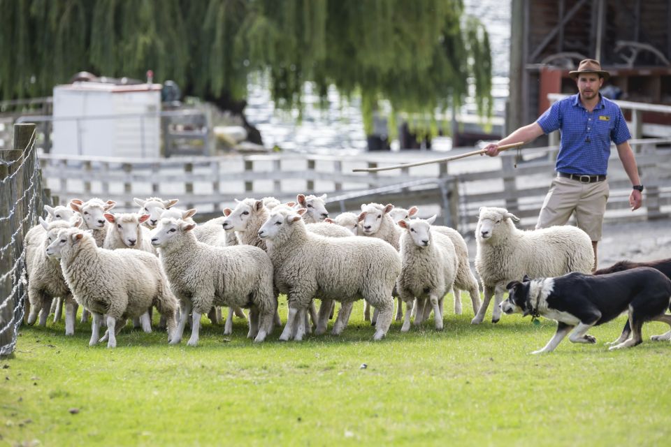 Queenstown: TSS Earnslaw Cruise and Walter Peak Farm Tour - Booking Information