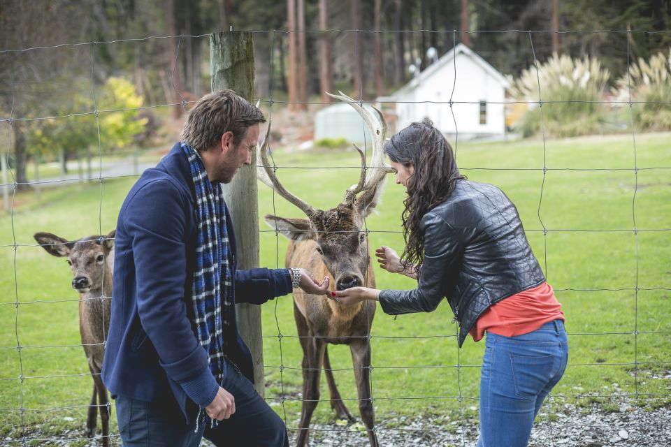Queenstown: TSS Earnslaw Cruise and Walter Peak Farm Tour - Frequently Asked Questions