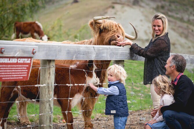 Queenstown: Walter Peak Farm Tour and Lake Cruise - Key Points