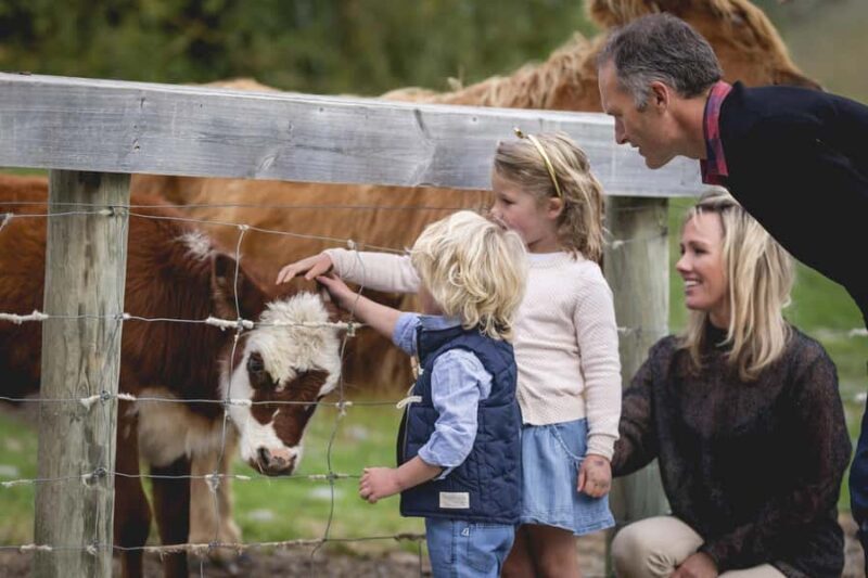 Queenstown: Walter Peak Farm Tour and Lake Cruise - Key Points