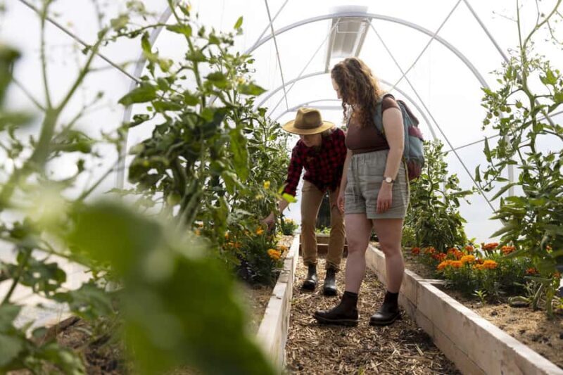 Queenstown: Walter Peak Garden to Table Experience - FAQ