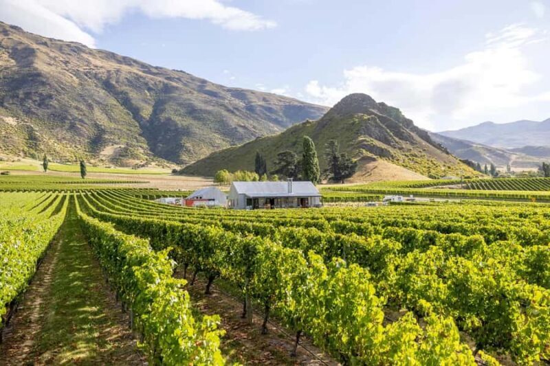 Queenstown's Original Wine Tour Celebrating 33 Years - The Authenticity and Quality of the Experience