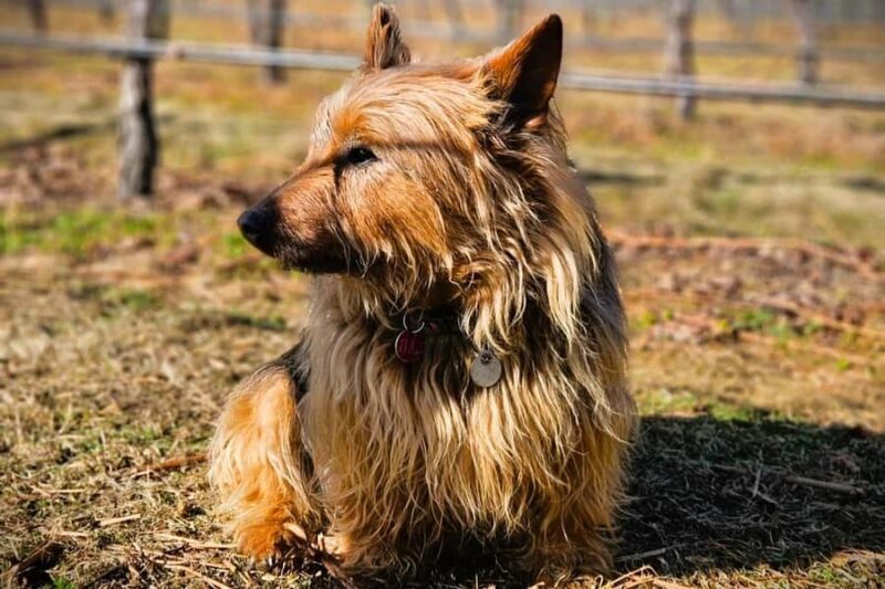 Queenstown's Original Wine Tour Celebrating 33 Years - Final Thoughts