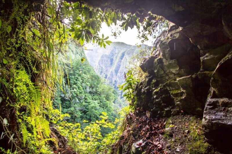 Queimadas Caldeirão Verde Madeira Island Walk - A Detailed Look at the Queimadas to Caldeirão Verde Experience