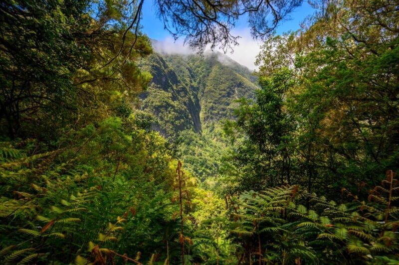 Queimadas Caldeirão Verde Madeira Island Walk - The Sum Up