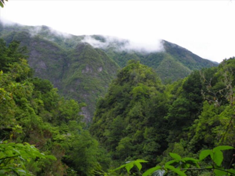 Queimadas Caldeirão Verde Walking tour with guide - What to Expect and Practical Details