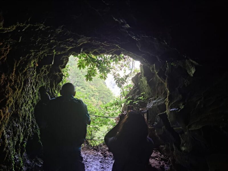 Queimadas Caldeirão Verde Walking tour with guide - Authentic Feedback from Travelers