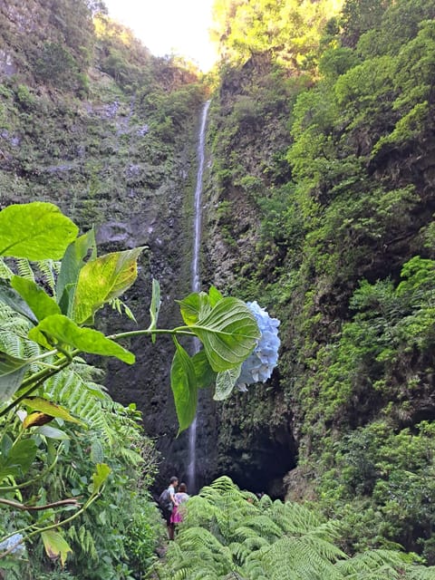 Queimadas Caldeirão Verde Walking tour with guide - Analyzing the Value