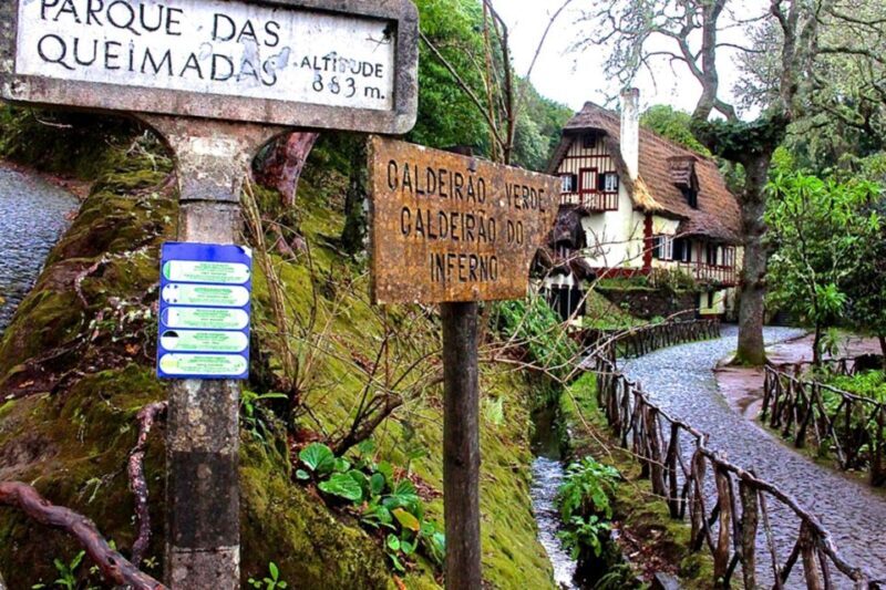 Queimadas Caldeirão Verde Walking tour with guide - Who Will Love This Tour?