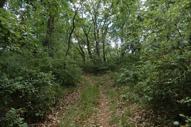 Querceti di Quasano: excursion in the Alta Murgia National Park - Key Points