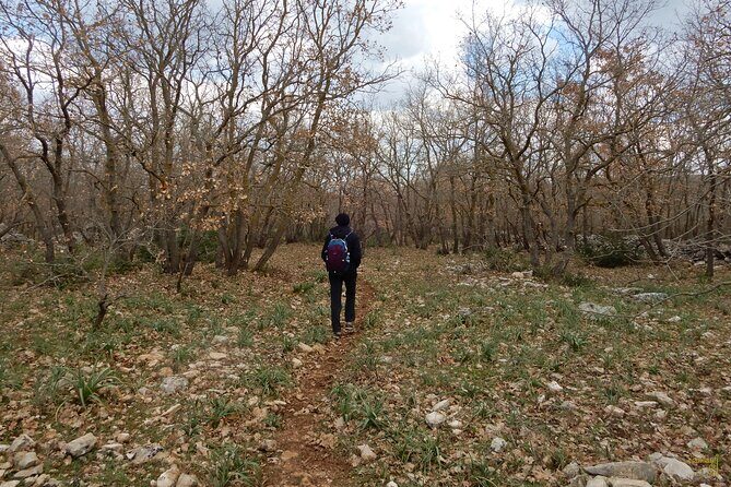 Querceti di Quasano: excursion in the Alta Murgia National Park - FAQ