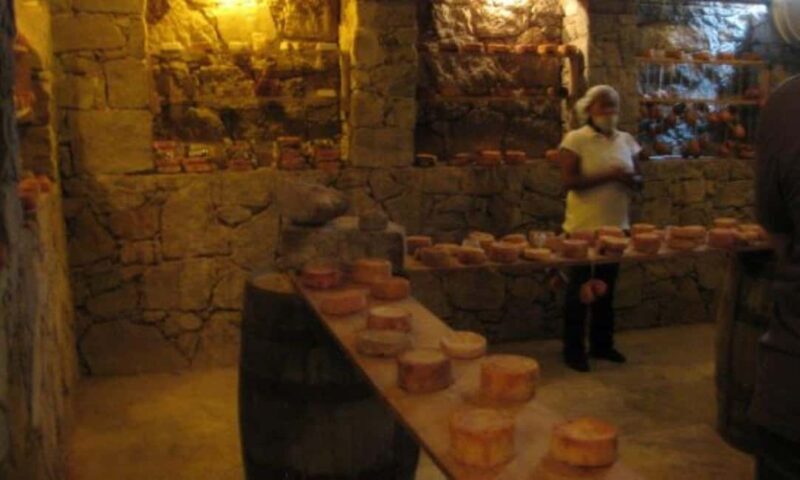 Querétaro: Cheese and Wine Tasting Tour - The Sum Up