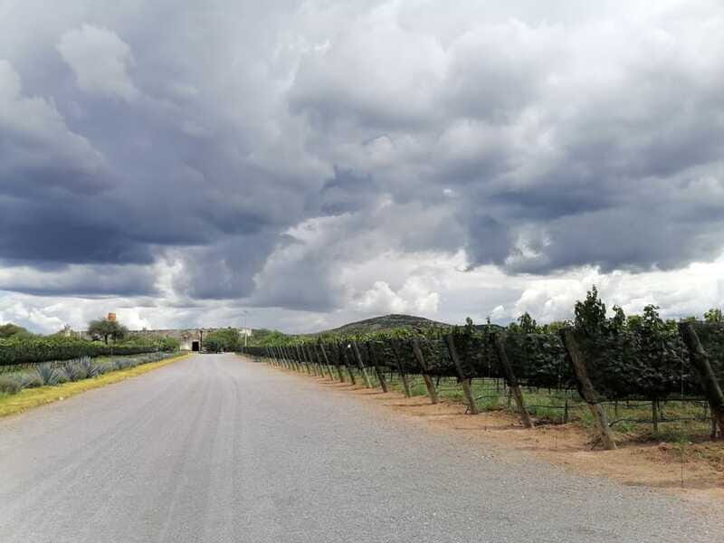 Querétaro: Hacienda Atongo Experience Tour - Authentic Reviews