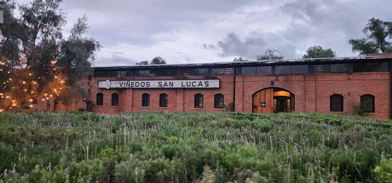 Querétaro: Independence Valley - Guanajuato Wine Tour - An In-Depth Look at the Guanajuato Wine and Independence Tour