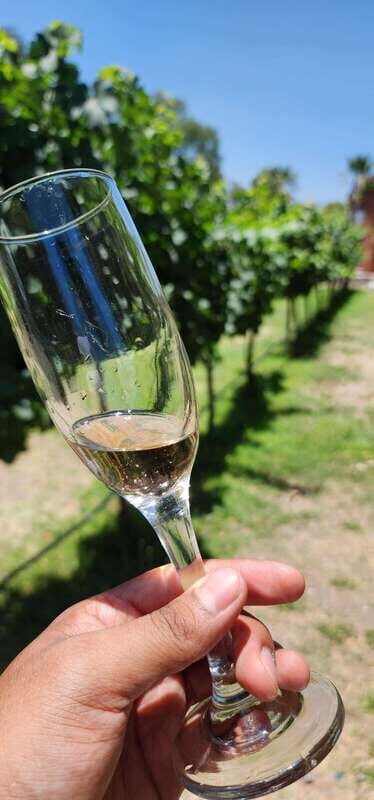 Querétaro: Independence Valley - Guanajuato Wine Tour - FAQ