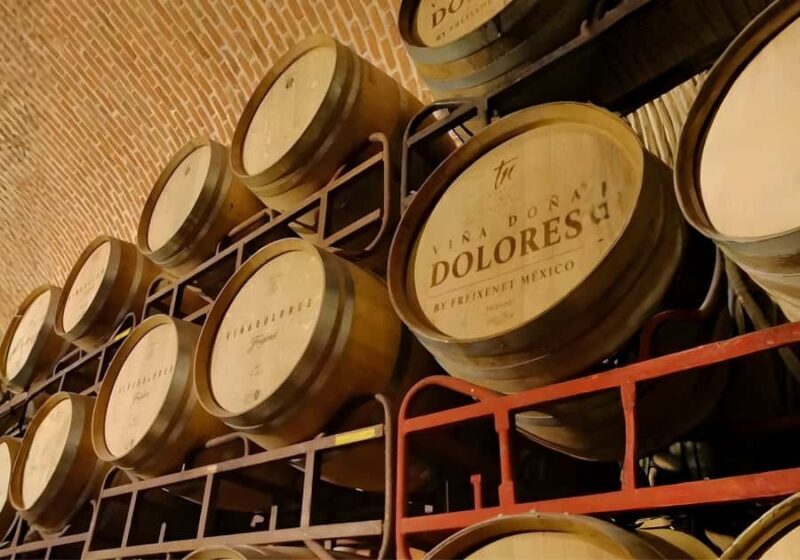 Querétaro: Peña de Bernal y Cavas de Freixenet - Final Thoughts