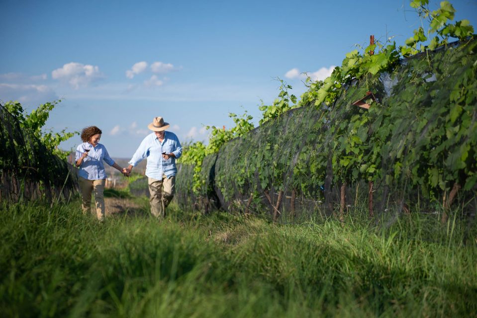 Queretaro: Rancho Santa Marina Farm Tour in English - Key Points