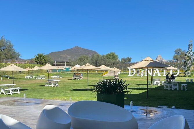 Queretaro Wine Experience - The Itinerary: What You Can Expect