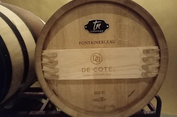 Queretaro Wine Experience - Who Should Consider This Tour?