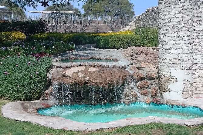 Queretaro Wine Experience - Frequently Asked Questions