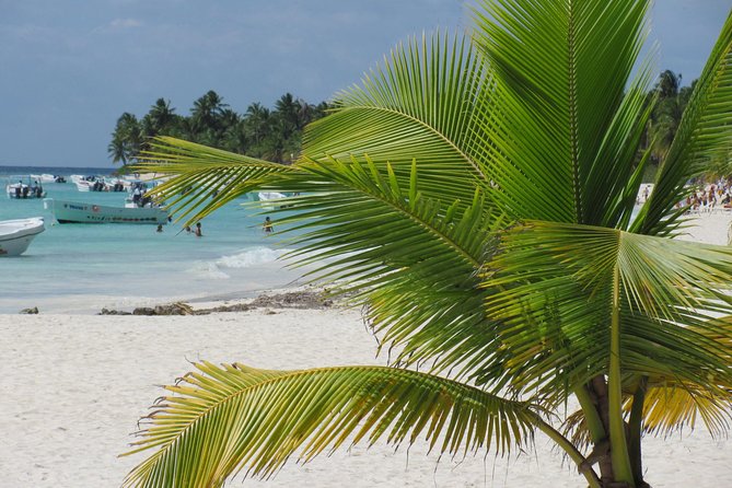 Quetzal Catamaran Cruise Prestige to Saona Island - Overview of the Catamaran Cruise