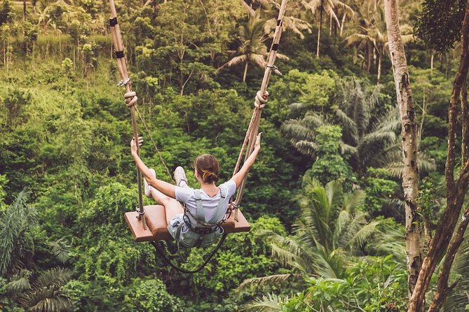 Quick Access: The Bali Instagram Small Group Tour - Scenic Highlights