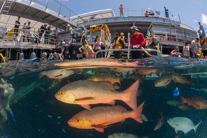 Quicksilver Pontoon and 10 Minute Scenic Helicopter Flight - Final Thoughts