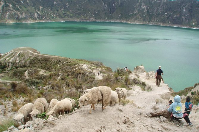 Quilotoa and Volcanoes Avenue Day Trip From Quito With Entrances - Itinerary Highlights