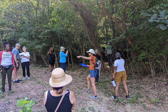 Quindaro Ruins Urban Hike - What to Expect on the Urban Hike