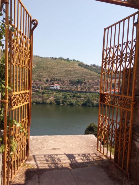 Quinta Da Pacheca: Walking With a Full Lunch and Wine Tasting - Quinta Da Pacheca: a Renowned Farm