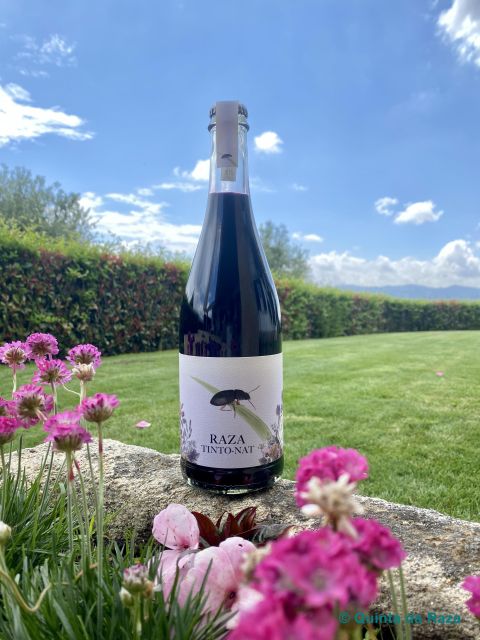 Quinta Da Raza Natural Wines - Wine Tasting Experience