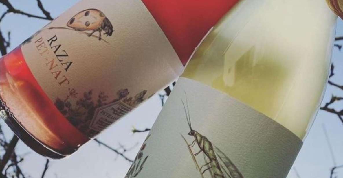 Quinta Da Raza Natural Wines - Sustainable Practices