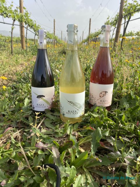 Quinta Da Raza Natural Wines - Frequently Asked Questions