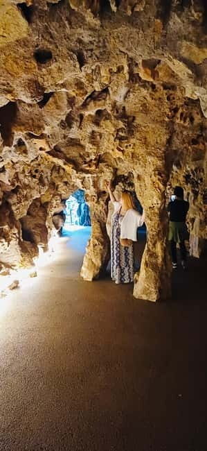 Quinta da Regaleira Skip-the-Ticket-Line with Audio Guide - Key Points