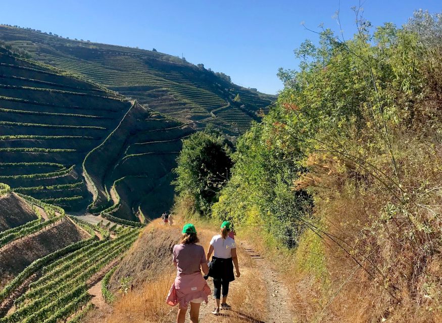 Quinta Do Portal: Walking Tour With a Full Lunch and Wine Tasting - Key Points