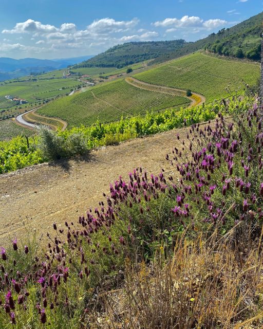 Quinta Do Portal: Walking Tour With a Full Lunch and Wine Tasting - Highlights of the Tour