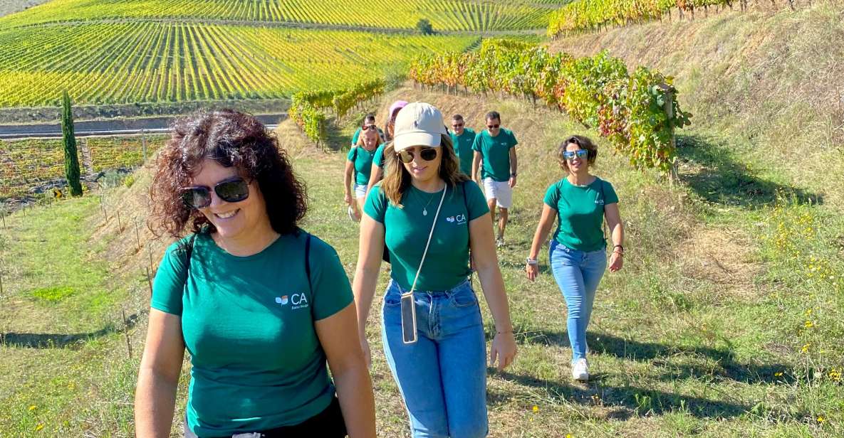Quinta Do Portal: Walking Tour With a Full Lunch and Wine Tasting - What to Bring