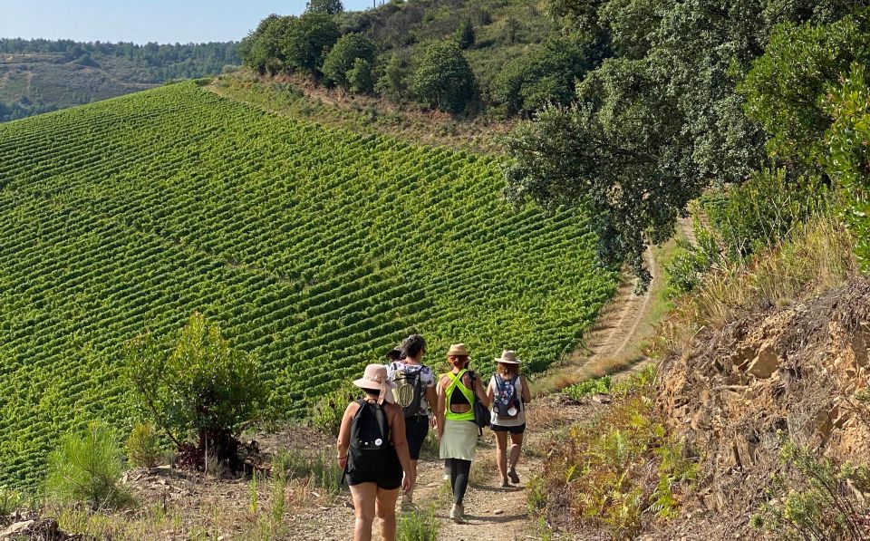 Quinta Do Portal: Walking Tour With a Full Lunch and Wine Tasting - Frequently Asked Questions