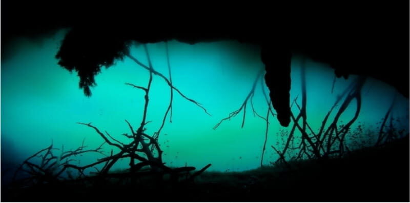 Quintana Roo: Cenote Dive - Key Points