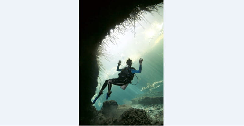 Quintana Roo: Cenote Dive - An Adventure into the Heart of Quintana Roo’s Underwater World