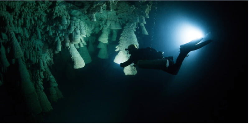 Quintana Roo: Cenote Dive - Who Will Love This Experience?