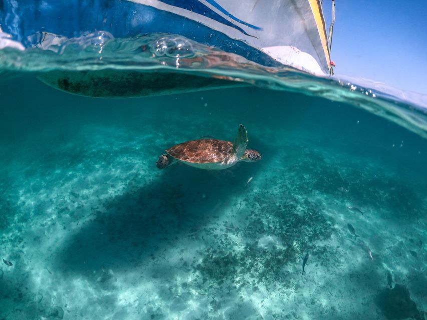 Quintana Roo: Tulum Ruins, Sea Turtles & Cenote Day Tour - Tour Inclusions