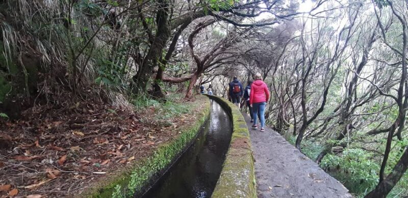 Rabaçal: 25 Fontes & Risco Levada Transfer Self-guided Hike - The Sum Up