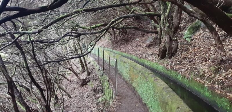 Rabaçal: 25 Fontes & Risco Levada Transfer Self-guided Hike - FAQ