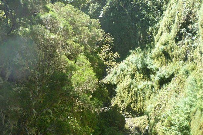 Rabaçal / 25 Fonts - The Sum Up