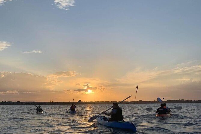Raby Bay Wildlife Kayak Tour - The Itinerary in Detail