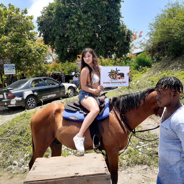Rafting, Blue Hole, Luminous Lagoon and Horseback Ride Tour - Medicinal Jamaican Herbs