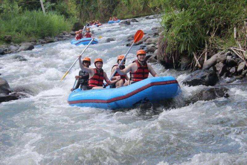 Rafting on the Telaga Waja River with Lunch - Exploring the Experience: What You Can Expect