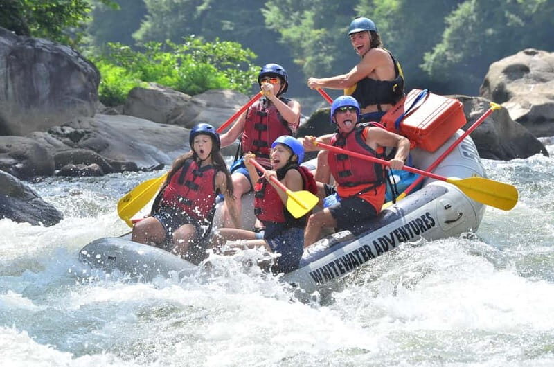 Rafting Tour, Transfer & Combo Options with Veg Lunch Option - An In-Depth Look at the Experience